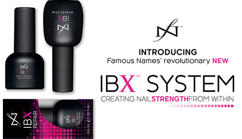 IBX system 1